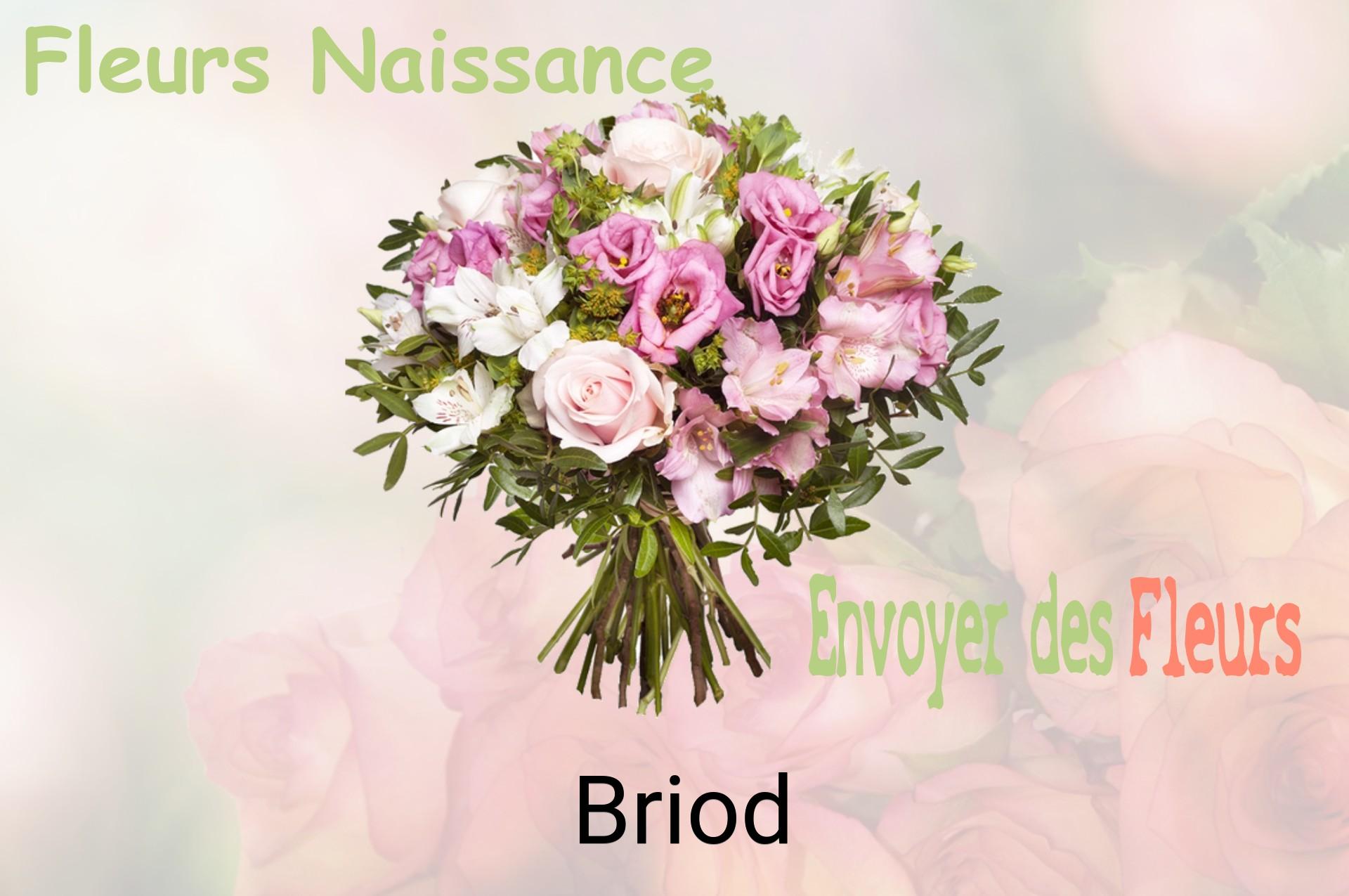 Bouquet de fleurs de naissance livré à Briod