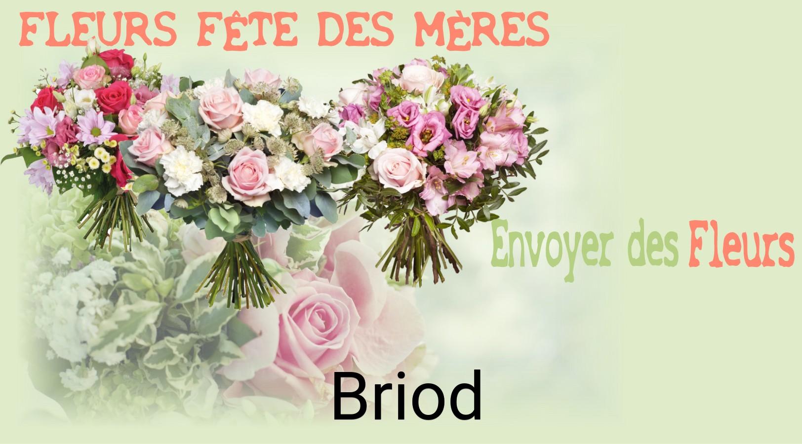 Bouquet de Fête des Mères livré à Briod