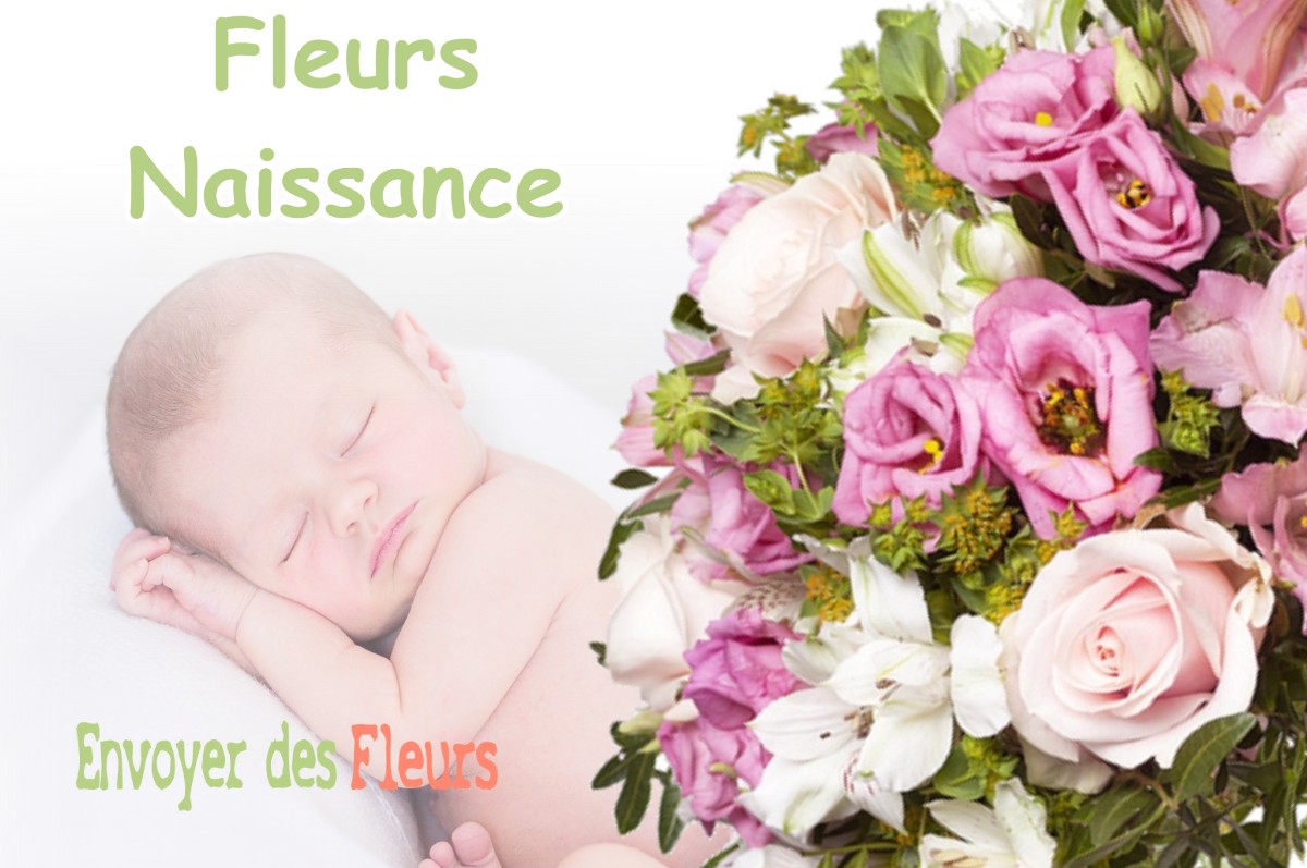 lIVRAISON FLEURS NAISSANCE à BRIOD